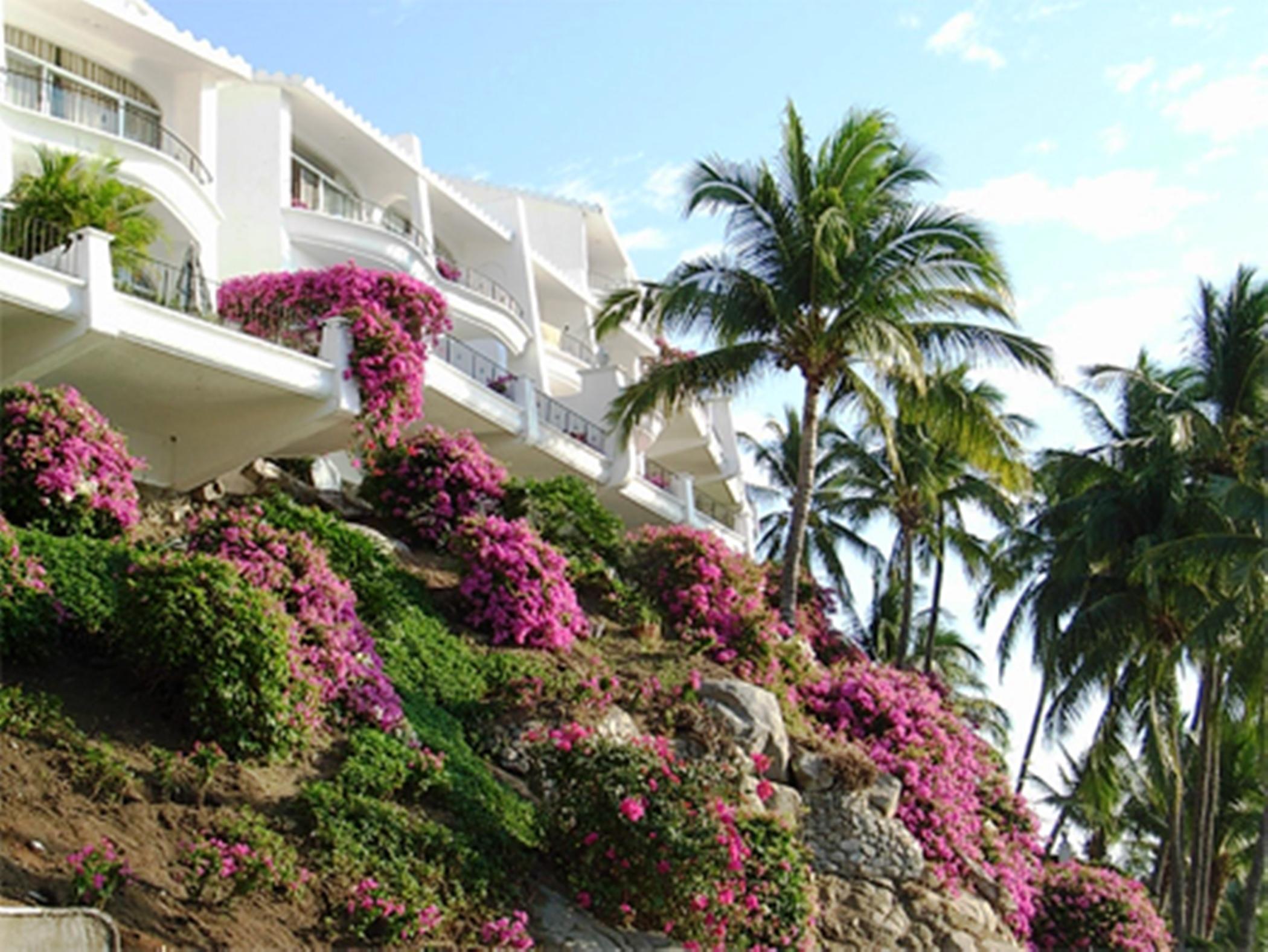 Dolphin Cove Inn Manzanillo Exteriér fotografie