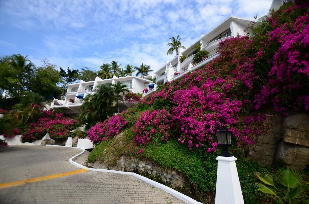 Dolphin Cove Inn Manzanillo Exteriér fotografie